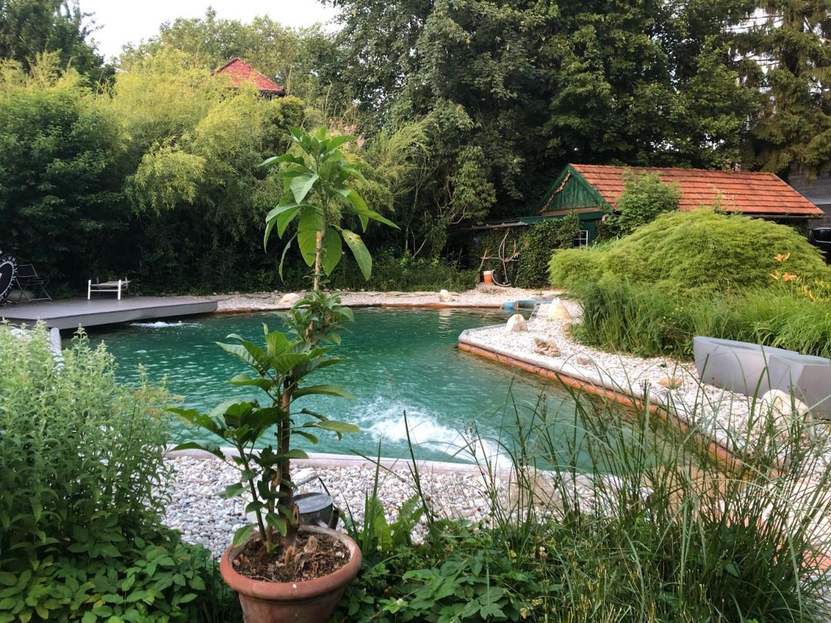 Haus Mit Sauna Und Privatem Badeteich In Anif Bei Salzburg Екстер'єр фото